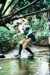 BIB: 
                            <button type="button" onclick="openModal(25402500)" class="btn btn-primary btn-sm float-right btn-popup" data-toggle="modal" data-target=".modal-high-quality">
                        <i class="fas fa-shopping-cart"></i> Add to Cart
                    </button>
                                            <button type="button" onclick="isThisMe(25402500, true)" class="btn btn-success btn-sm float-right btn-popup btn-isme hidden" data-toggle="tooltip" data-placement="bottom" title="นี่คือรูปของคุณใช่ไหม คลิกที่นี่เพื่อเอาเข้าอัลบั้ม">
                        <i class="fas fa-plus"></i> Add to album
                    </button>
                    <button type="button" onclick="isThisMe(25402500, false)" class="btn btn-warning btn-sm float-right btn-popup btn-isnotme hidden">
                        <i class="fas fa-ban"></i> Remove from album
                    </button>